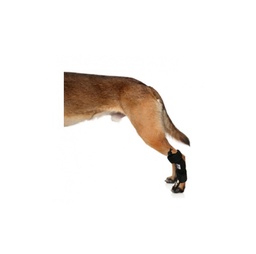 [151127] CORRECTOR PROPIOCEPTIVO GRANDE - PER-ROS