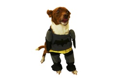 [150811] DISFRAZ BATMAN Nº3 35 CM.- PER-ROS