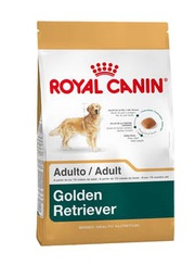 [3815120] Golden Retriever Adulto