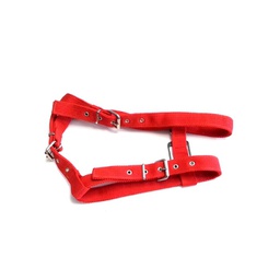 [620945] ARNES NYLON "PIT BULL" AJUSTABLE ECONOMICO - MISTER HUESO