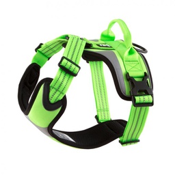[23992] arnes verde small 1cm x 33-45cm