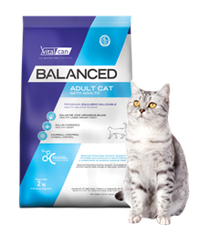 [21703] Vital Can Balanced Gato Adulto X 400 Gr.