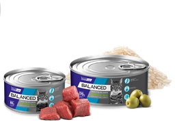 [21728] Vital Can Balanced Gato Orange Mix 85gr 