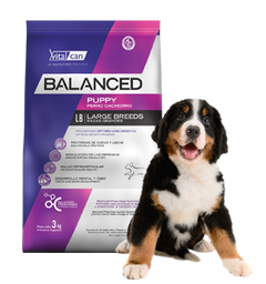 [31734] Balanced Perro Cachorro Raza Grande x 1 kg.