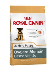 [3812120] Ovejero Alemán Puppy