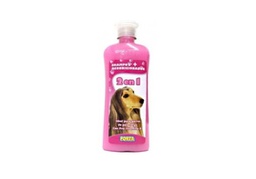 [570511] SHAMPOO 2 EN 1 500 ML. PORTA