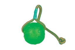 [11651] SWING &amp; FLING CHEW BALL-873199001093