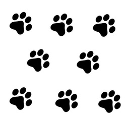 [400026] VINILO DECORATIVO PLANCHUELA PATITAS - DOBRO