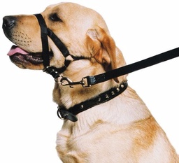 [231252] BOZAL HALTI DE ENTRENAMIENTO MEDIANO - FAMILY PETS