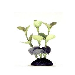 [6619] PLANTA TELA SMALL - ANUBIAS PPBT2 - PENNPLAX